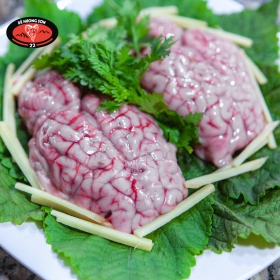 Óc nguyên bộ