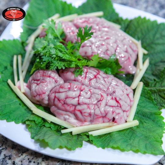 Óc nguyên bộ