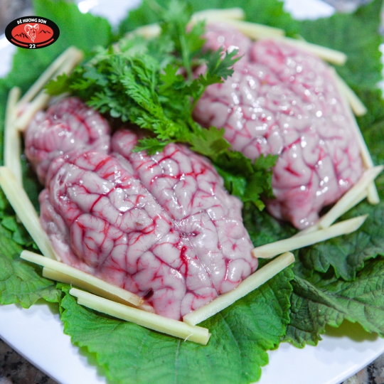 Óc nguyên bộ