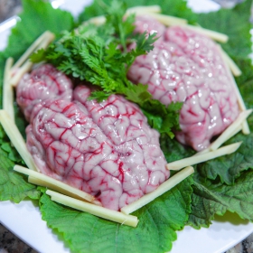 Óc nguyên bộ